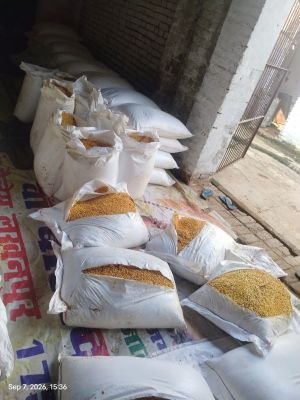 Damaged Stock of Chana Dal